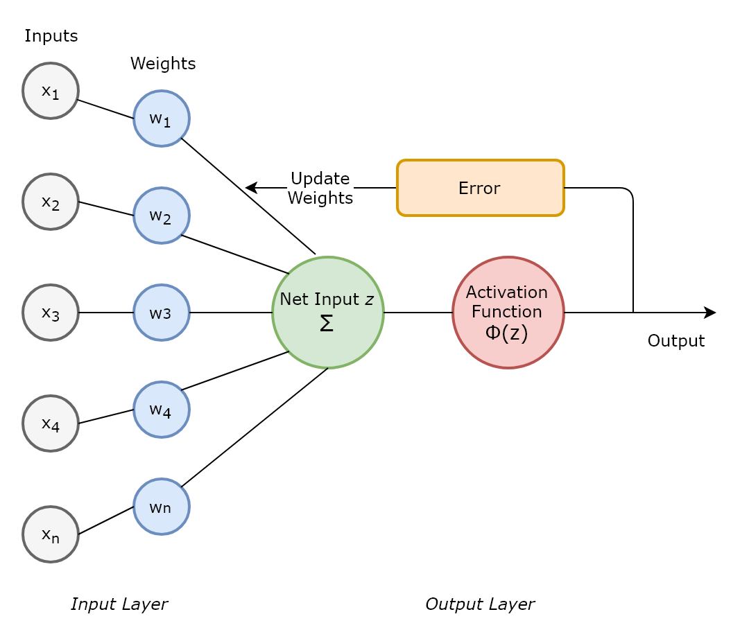 The perceptron