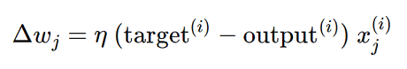 Weights learning rule