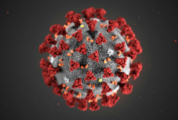 COVID-19 virus